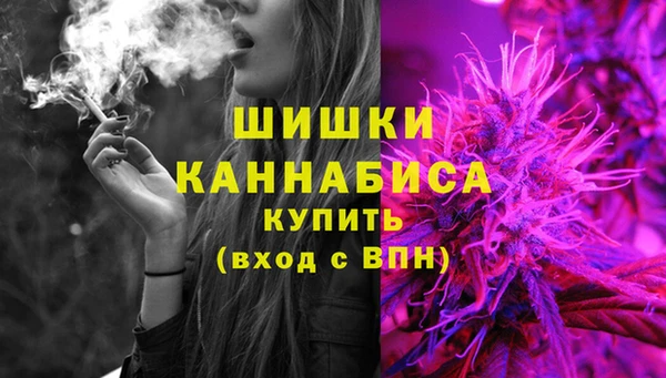 винт Алзамай