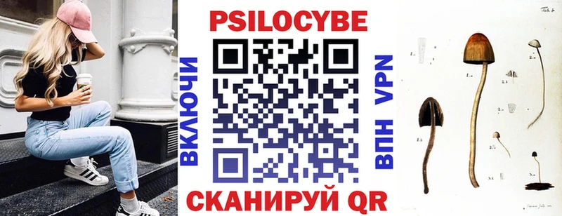 наркотики  Шелехов  Псилоцибиновые грибы Magic Shrooms 