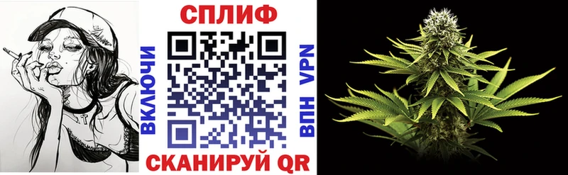 как найти наркотики  Шелехов  Каннабис планчик 